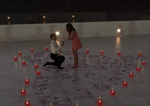 PROPOSAL2_DAZ3D下载站