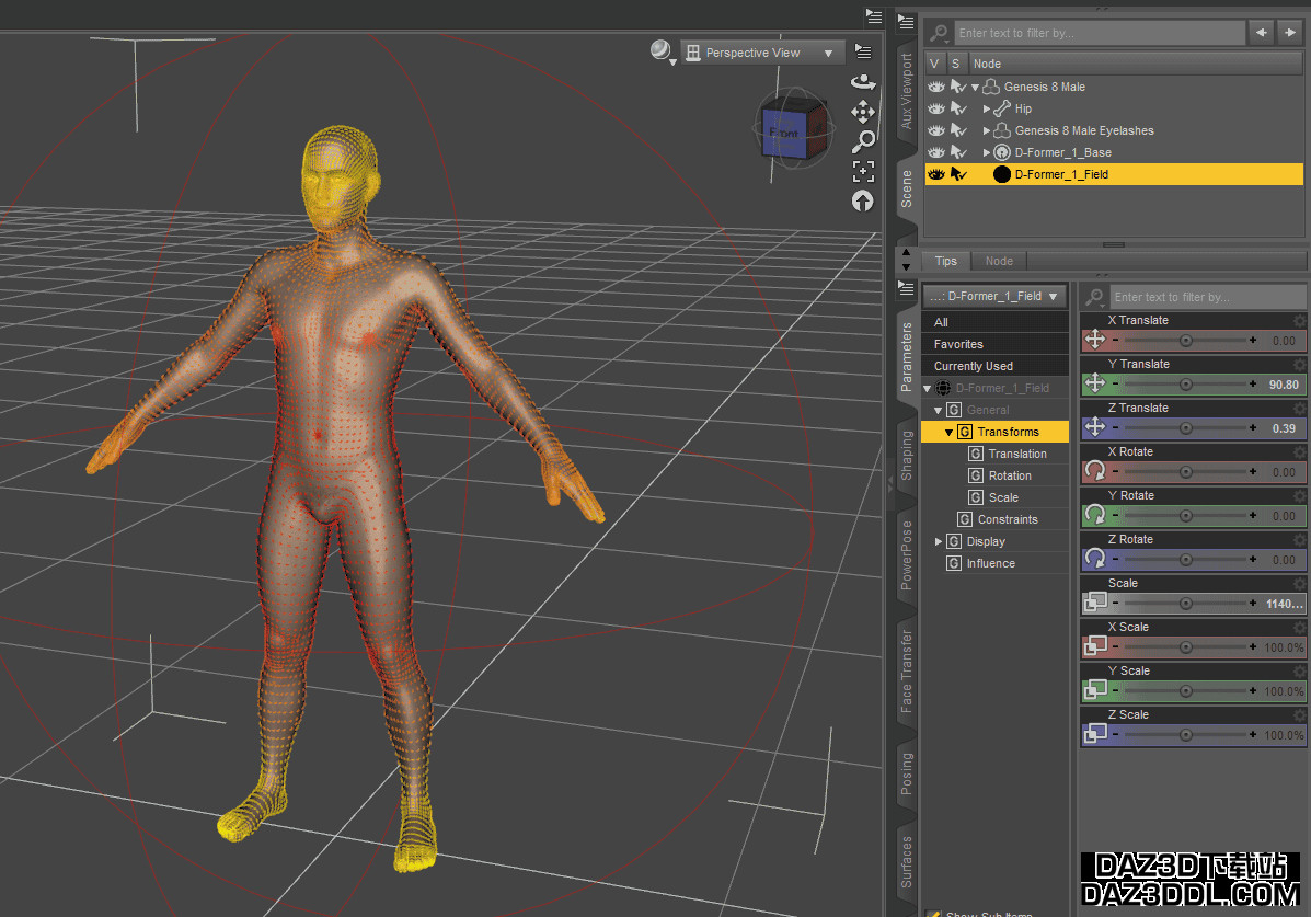daz3d d former field