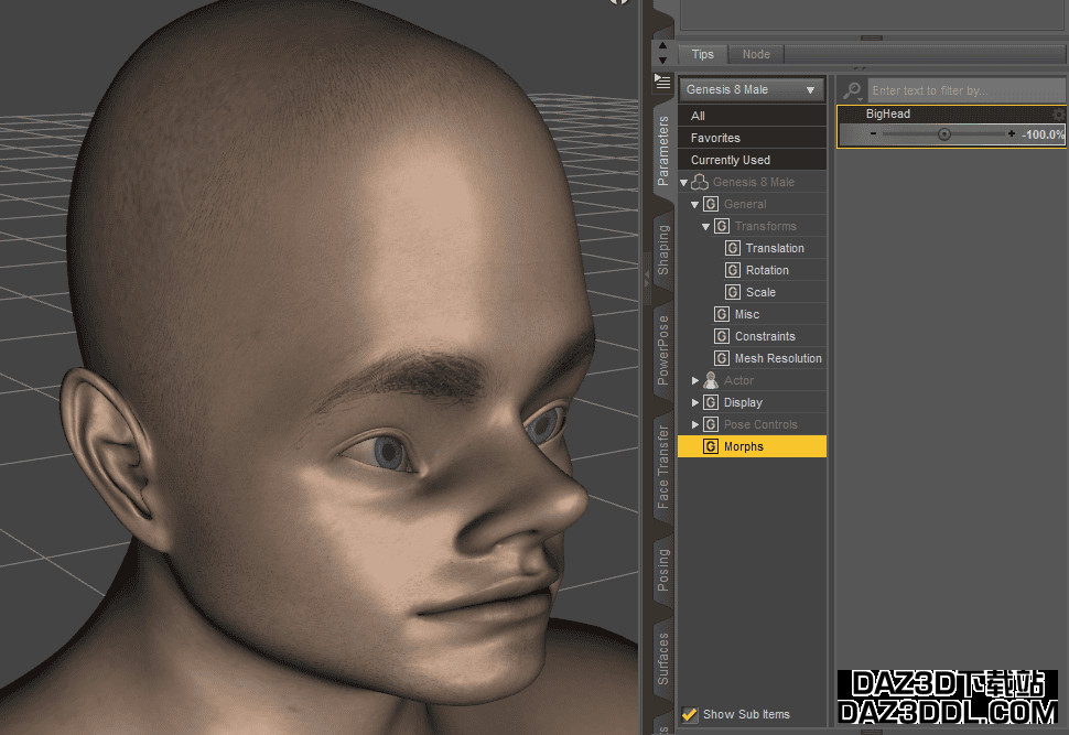 daz studio create custom morph step