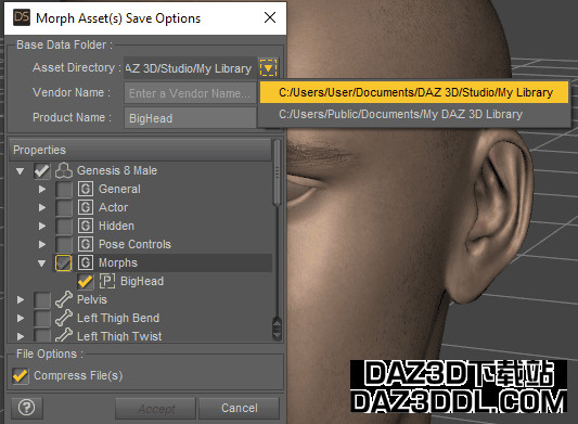 daz studio morph save options