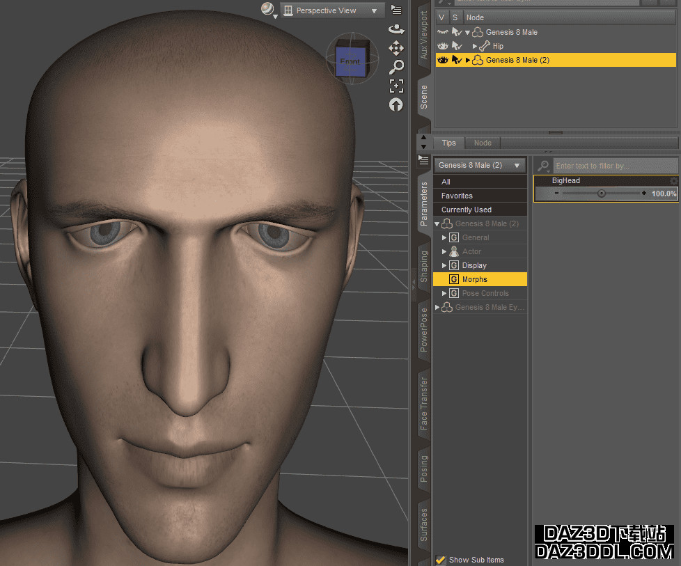 Daz3D Create Custom Morph result