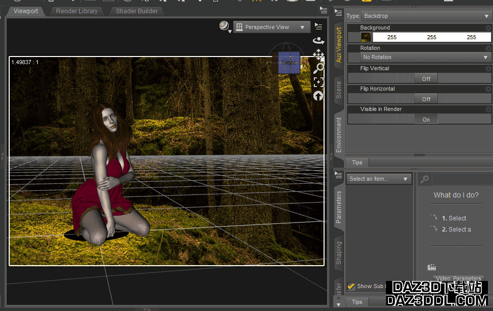 Daz Studio 场景视口背景环境图像