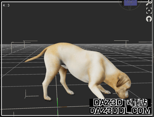 Daz3D动画狗姿势初始关键帧