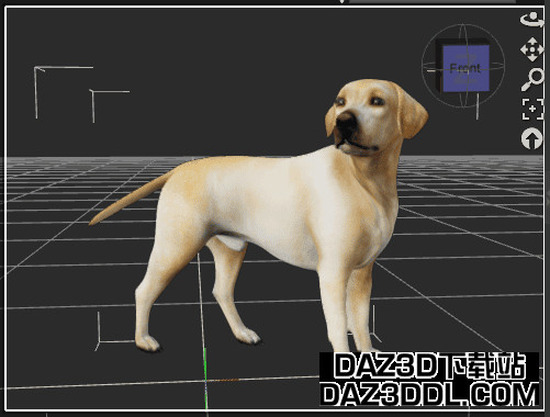 Daz3D动画狗姿势最终关键帧