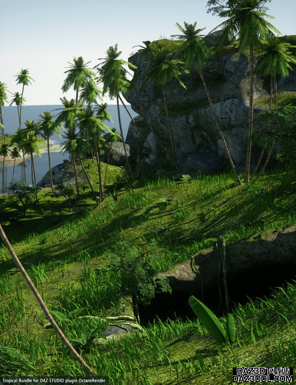 Daz Studio Tropical Bundle OctaneRender