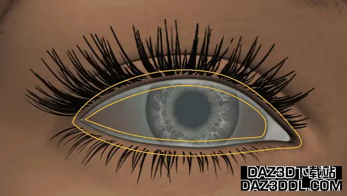 daz studio genesis8.1 tear