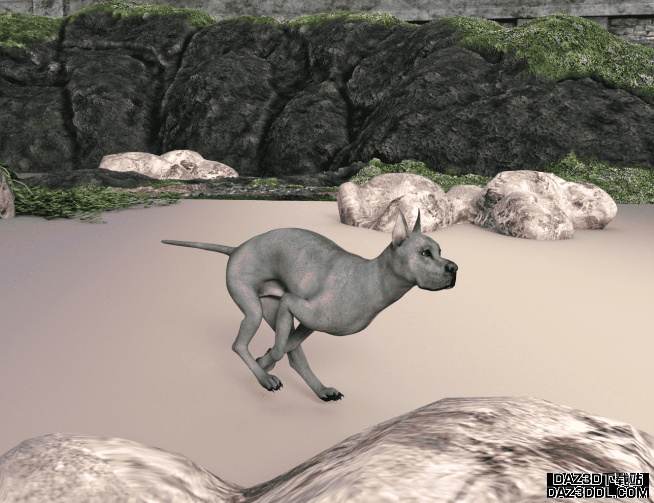 daz studio animation of a running dog