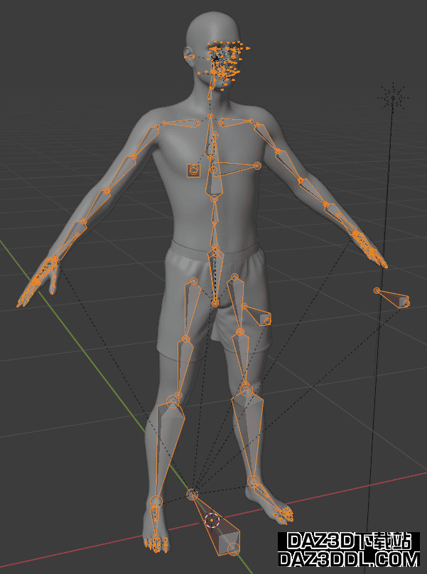 daz to blender 骨架