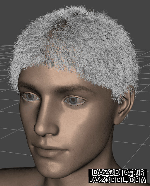 daz3d 基于发丝的头发可见