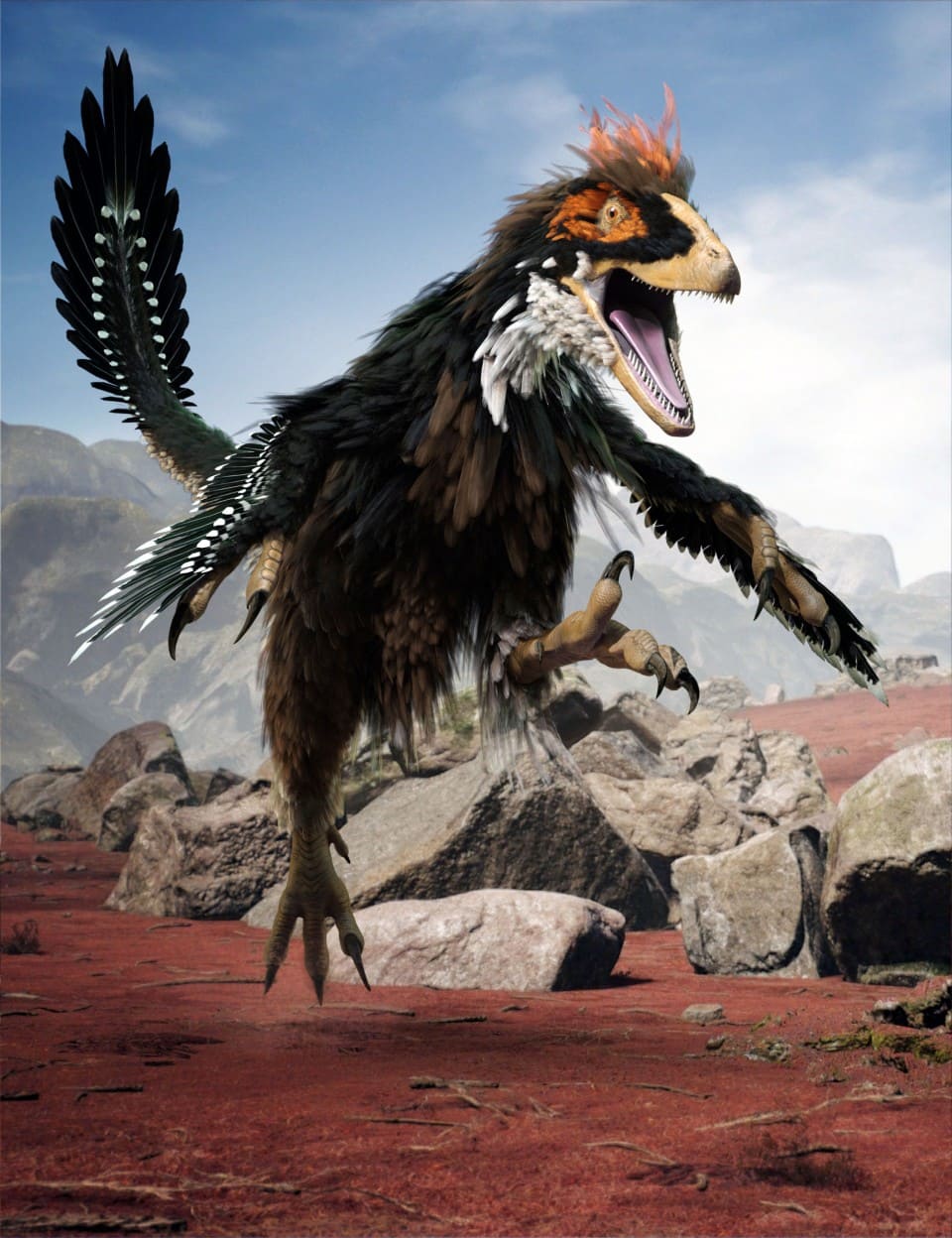 Dinosaurs Series - Feathers Extension for Deinonychus_DAZ3D下载站