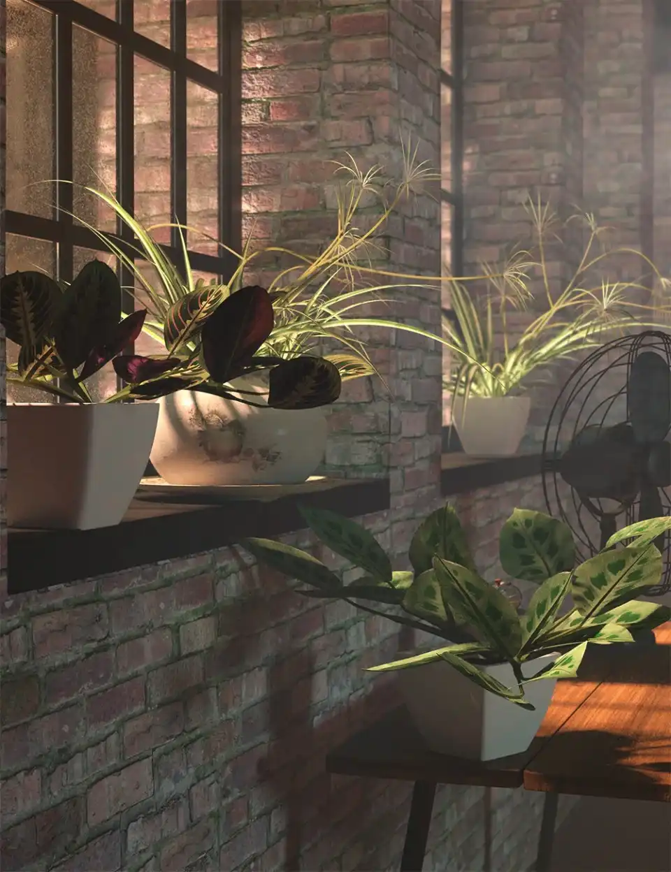 Tropical Plants Vol 4 - House Plants_DAZ3DDL