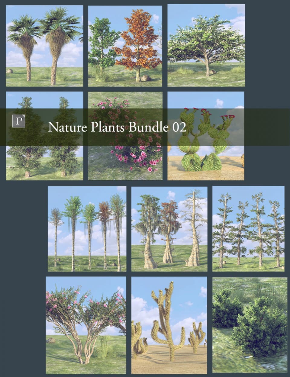 Nature Plants Bundle 02_DAZ3D下载站