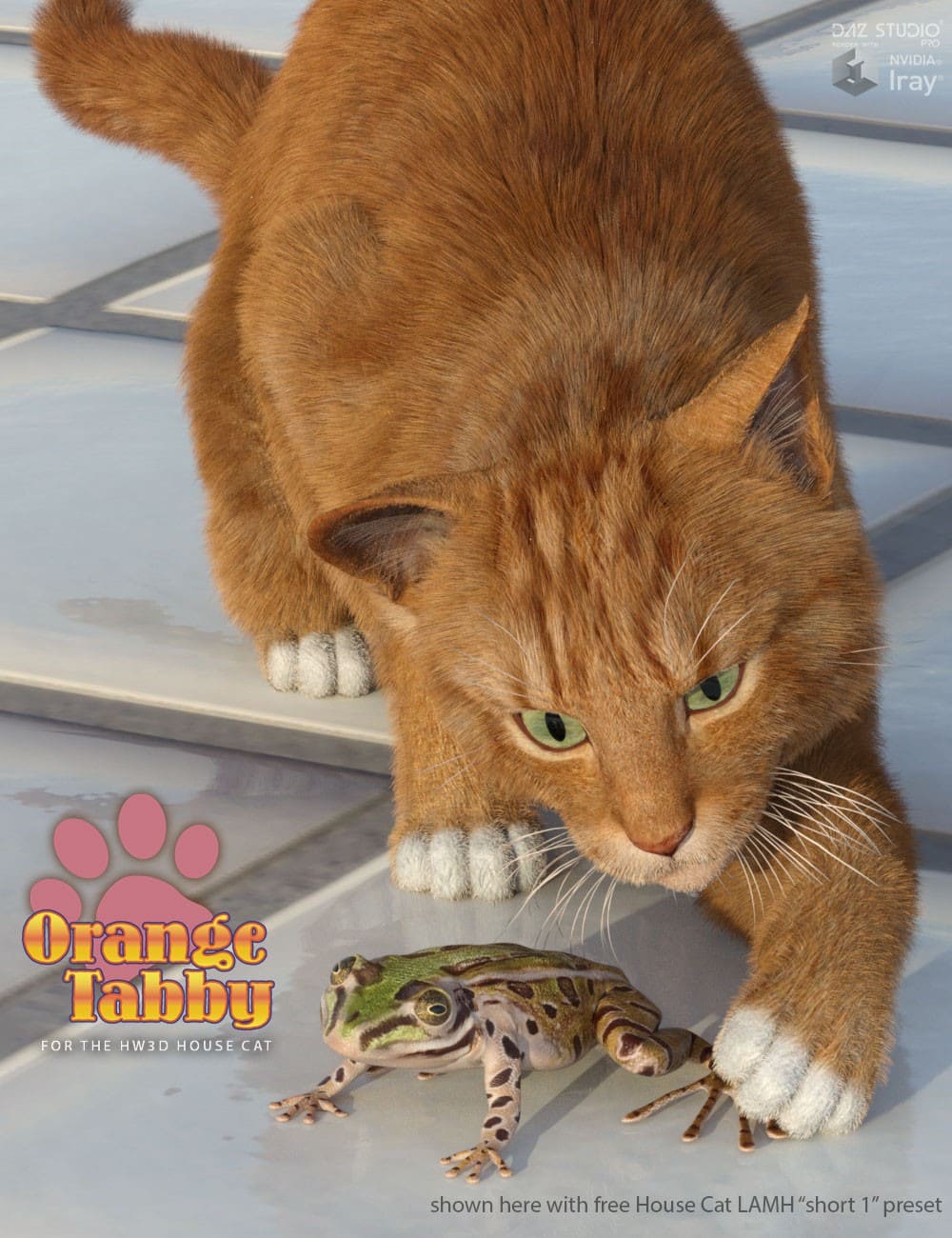 CWRW Orange Tabby for the HW House Cat_DAZ3D下载站