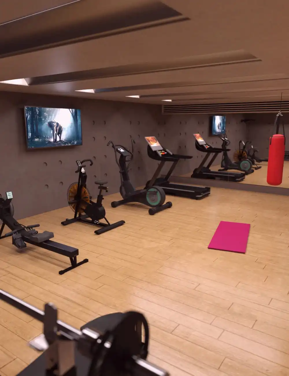 Home Gym_DAZ3D下载站