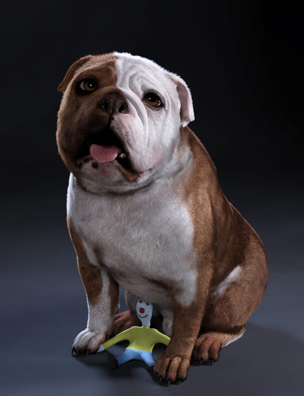 Baxter the English Bulldog for Dog 8_DAZ3DDL