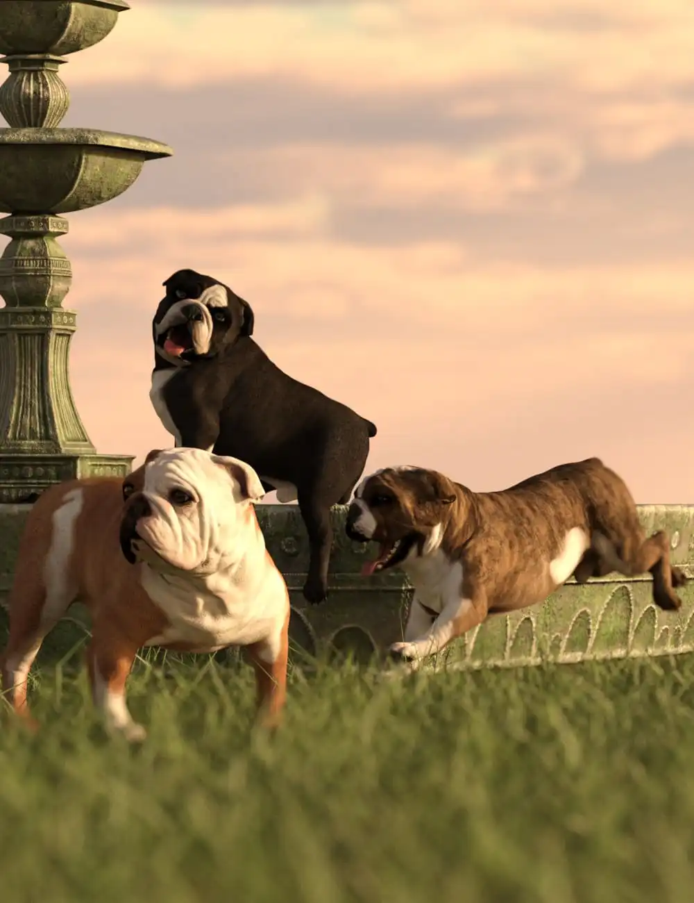 Bulldog Poses For English Bulldog_DAZ3D下载站