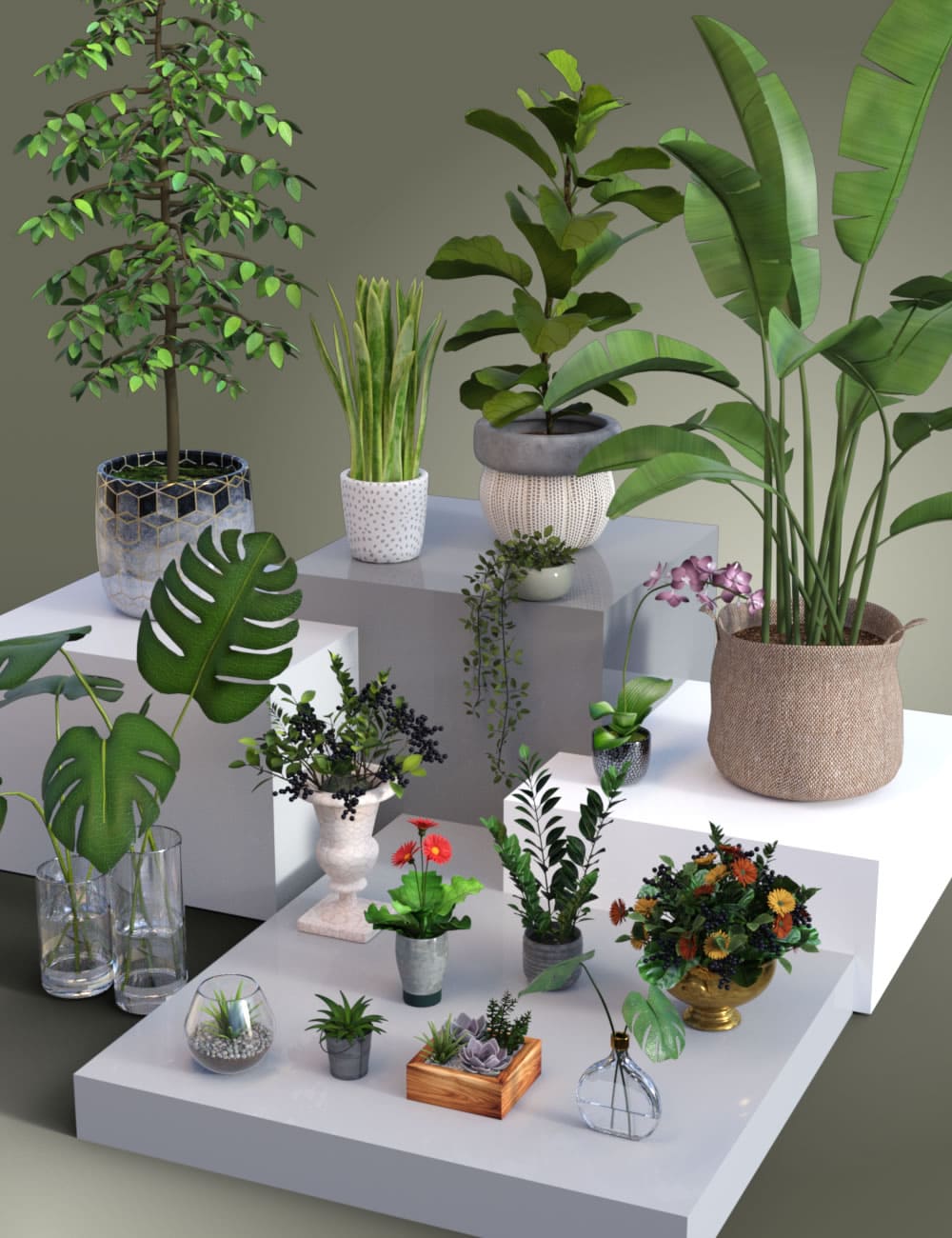Collection of Pot Plants_DAZ3D下载站