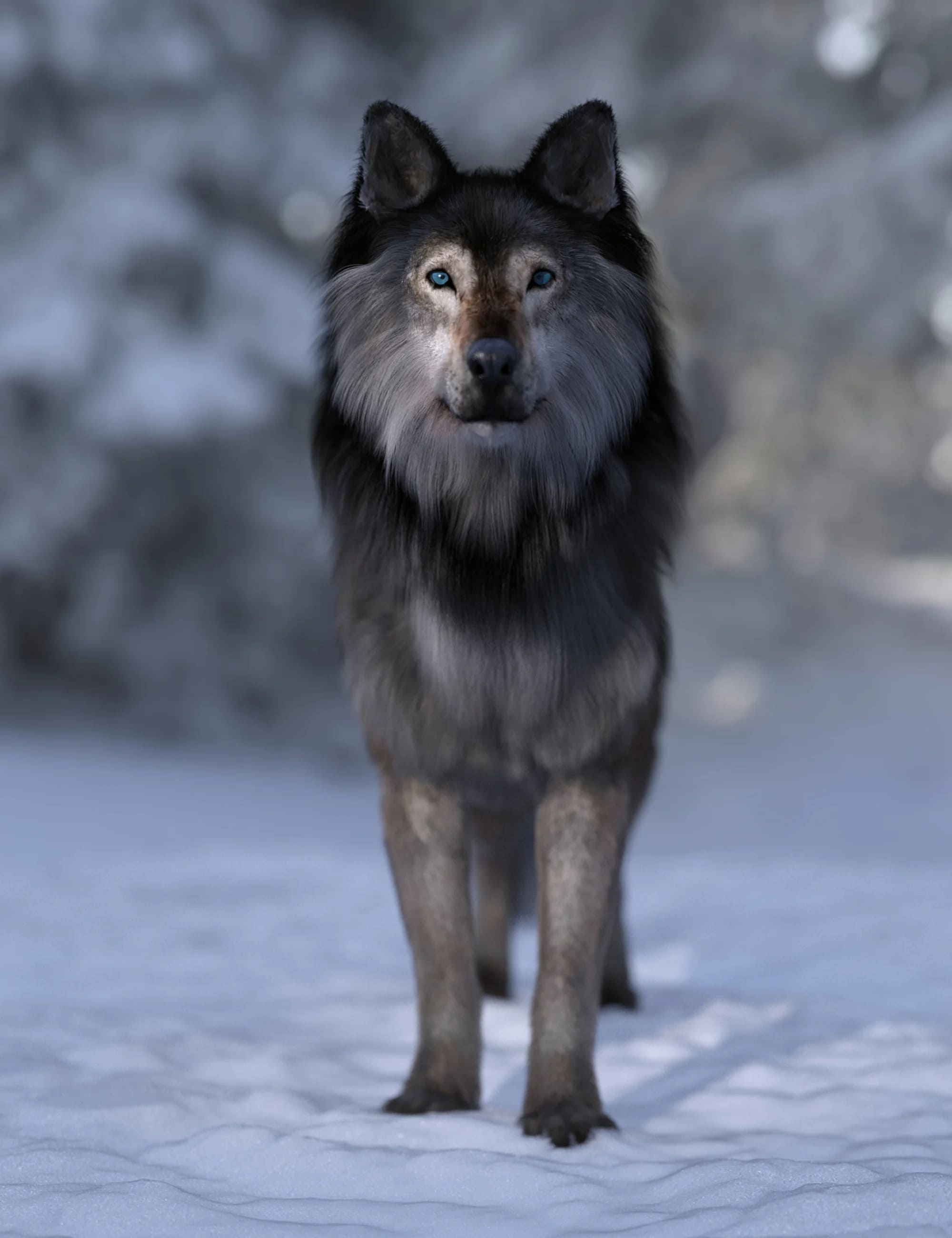 Dire Wolf for Daz Dog 8_DAZ3D下载站