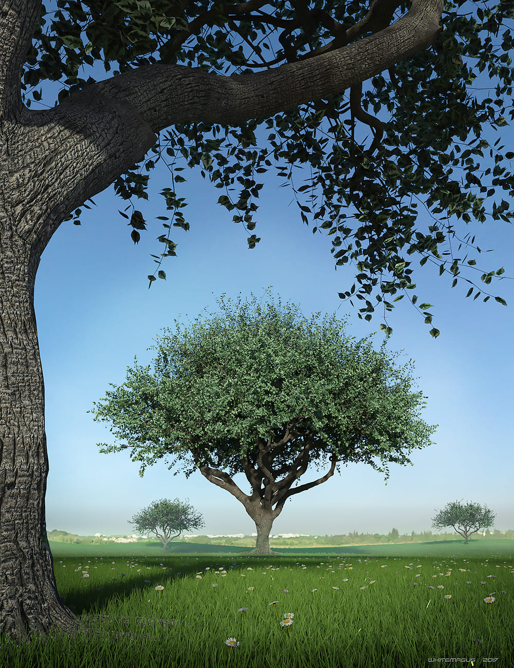 Hybrid Trees – Pruned_DAZ3DDL