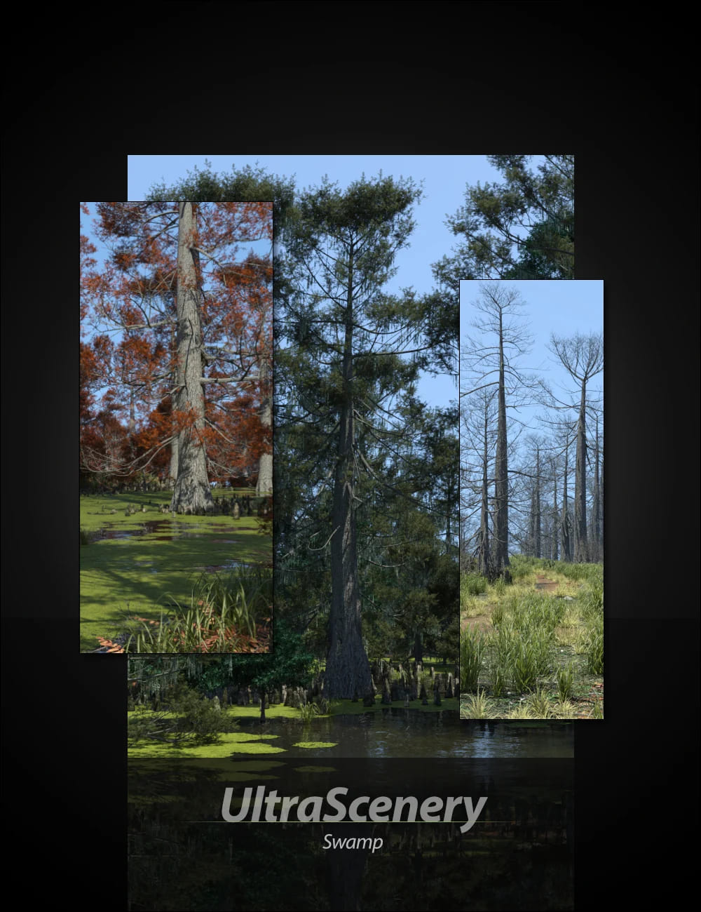 UltraScenery – Swamp_DAZ3D下载站