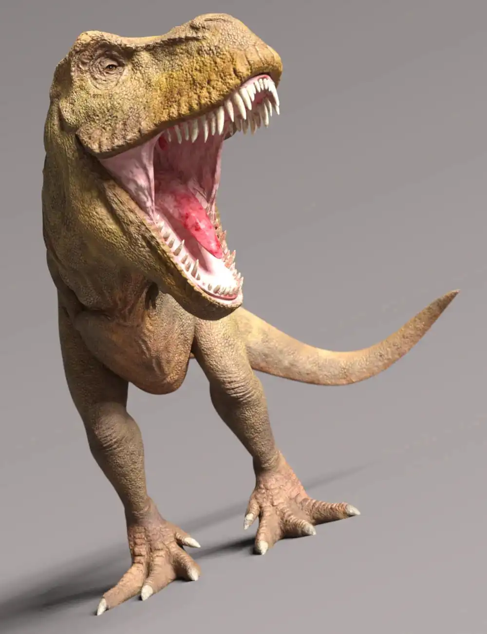 Rex HD for Genesis 8.1 Male_DAZ3D下载站