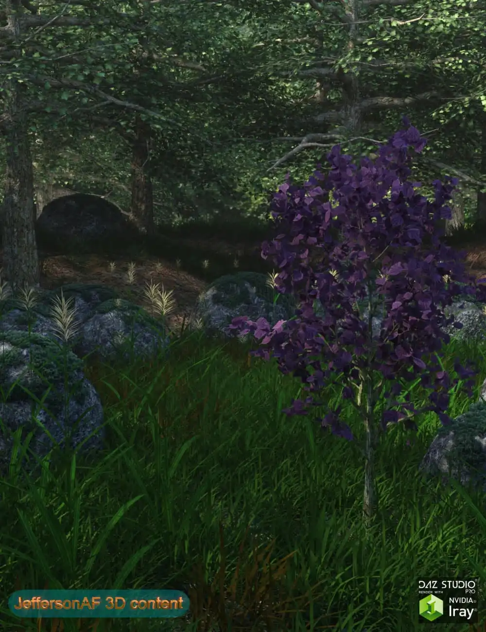 The Magical Place_DAZ3DDL