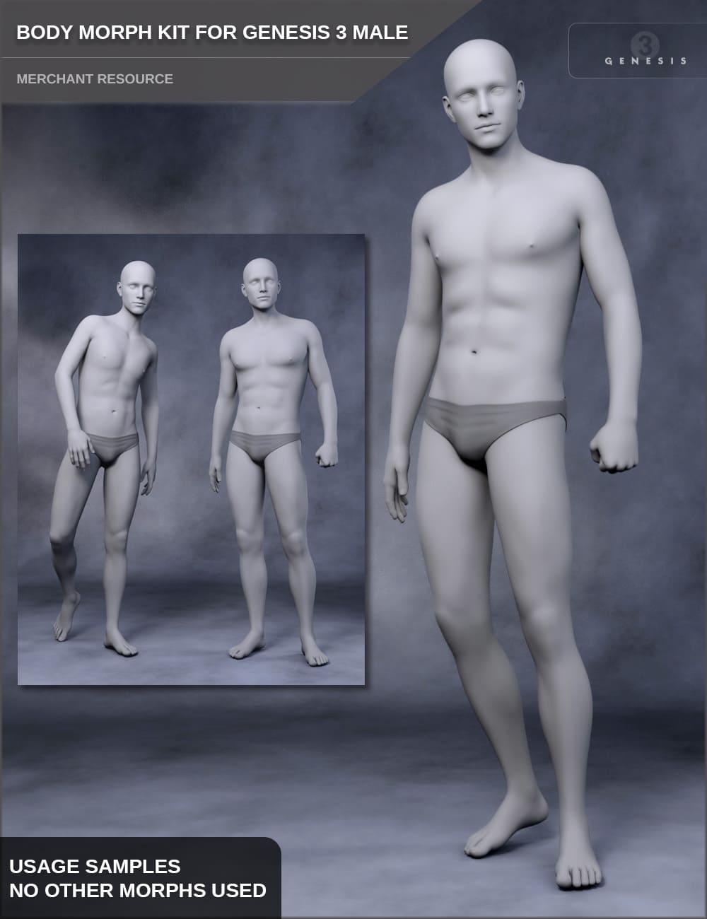Body Morph Kit for Genesis 3 Male and Merchant Resource_DAZ3D下载站