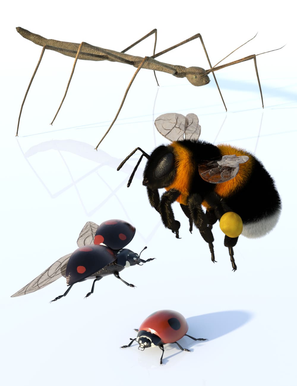 Little Friends Insect Bundle_DAZ3D下载站