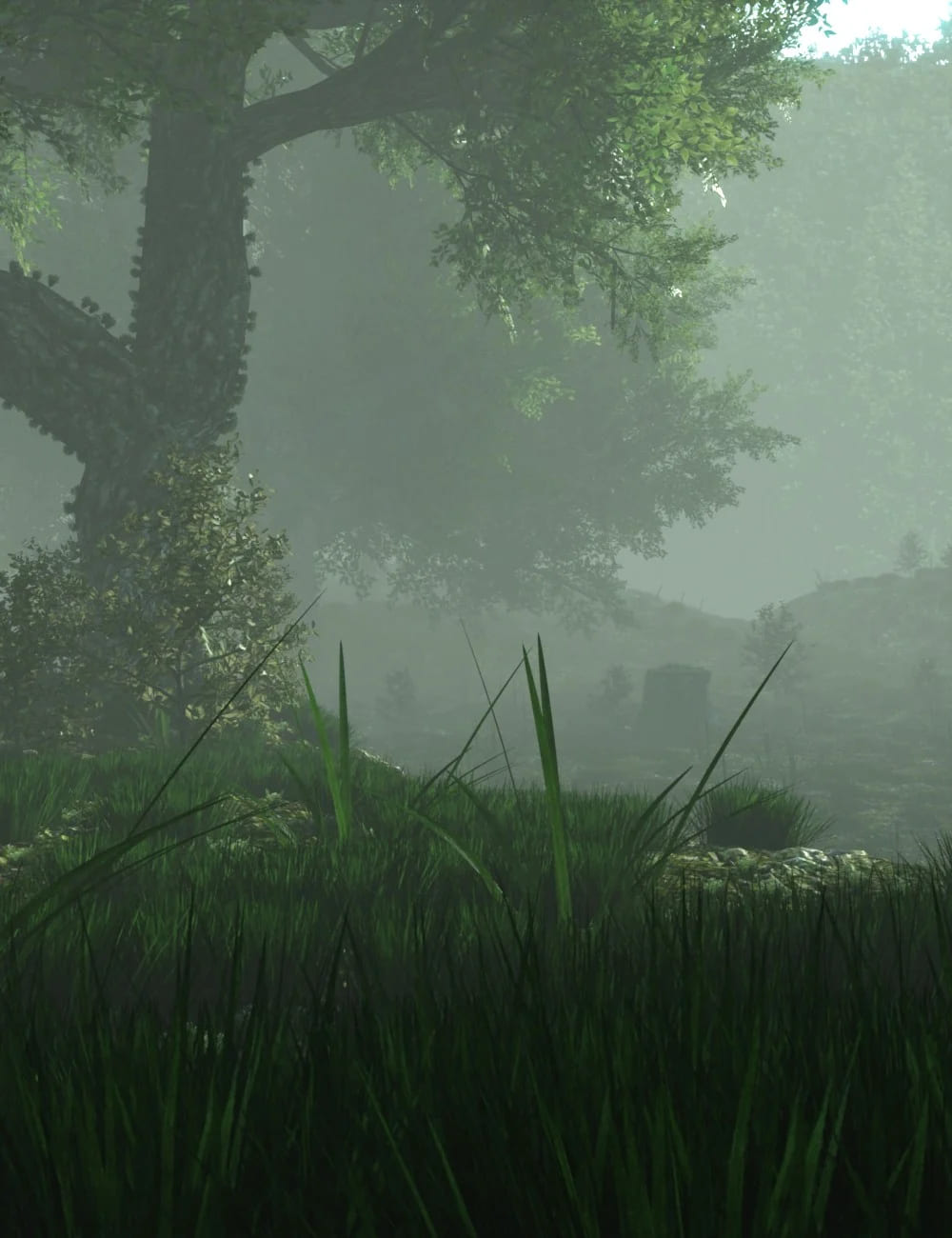 Mysterious Forest_DAZ3D下载站