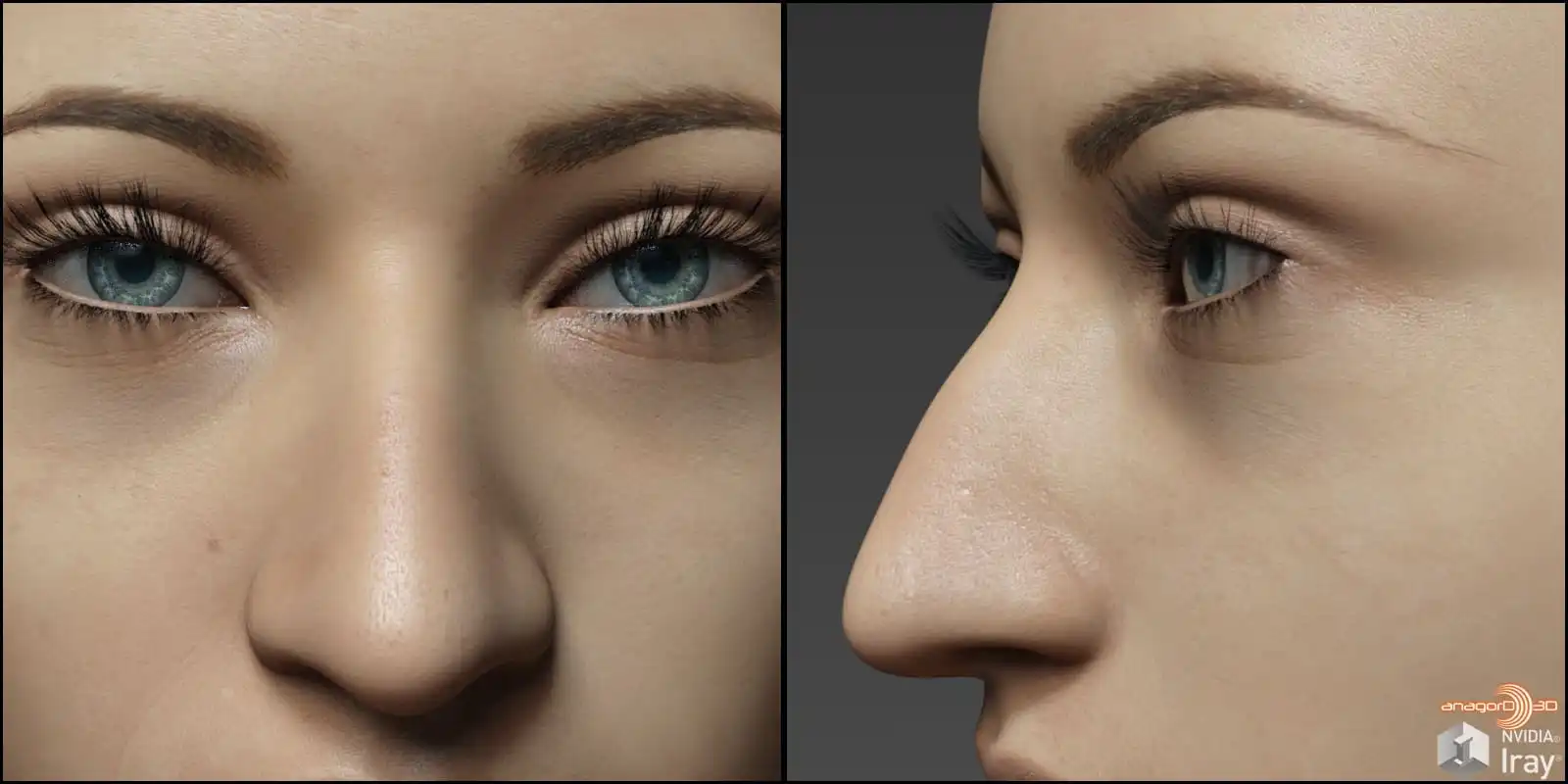 Nose Morphs for G8F Vol 1_DAZ3DDL