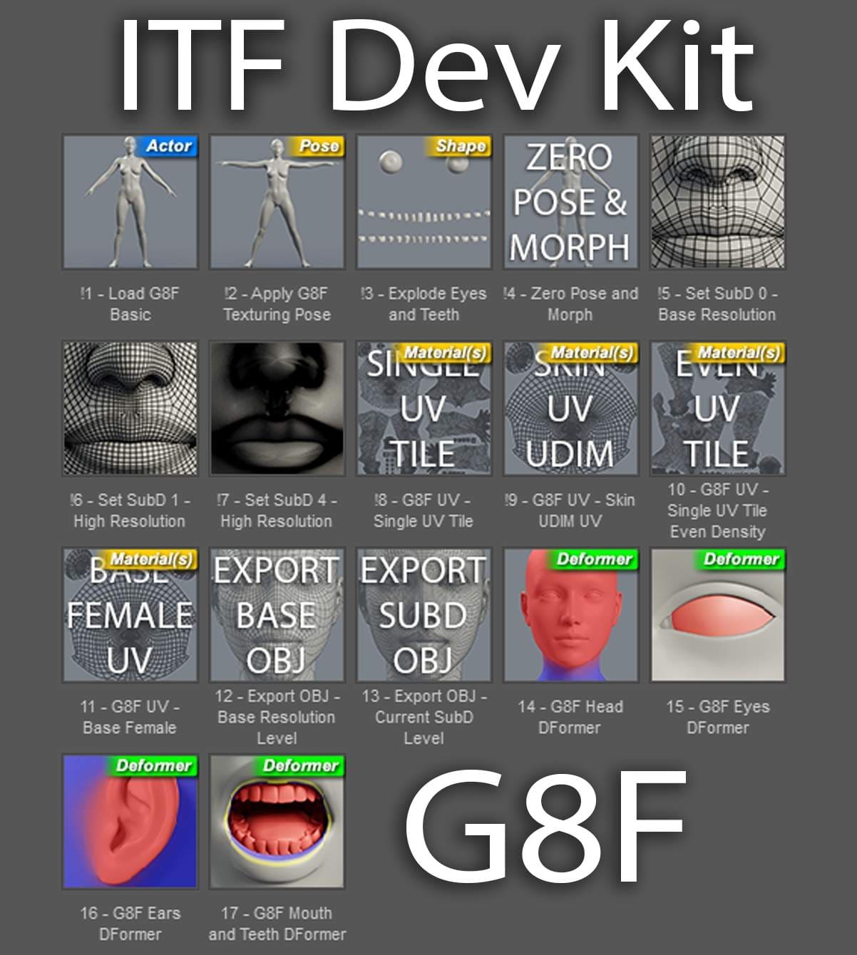 ITF Dev Kit For Genesis 8 Female_DAZ3D下载站