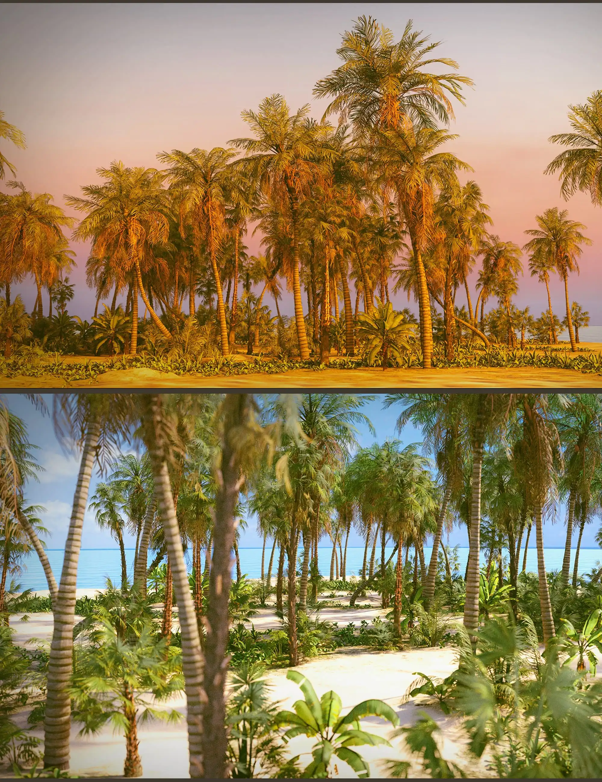 Tropical Beach_DAZ3DDL