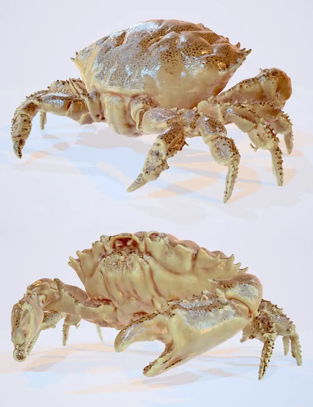 Crab_DAZ3D下载站