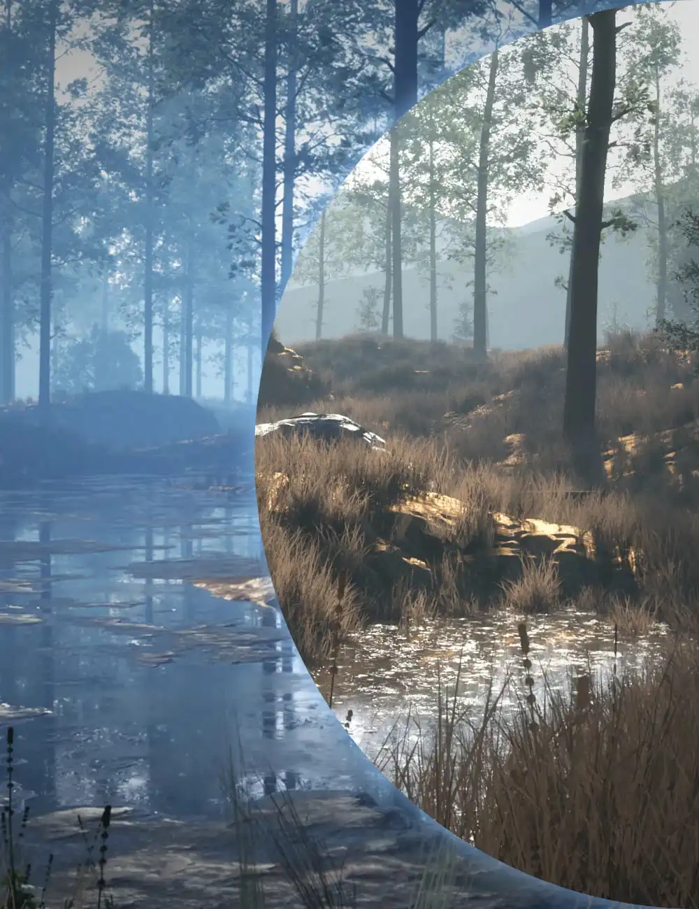 Mega Terrain: Swampland_DAZ3D下载站