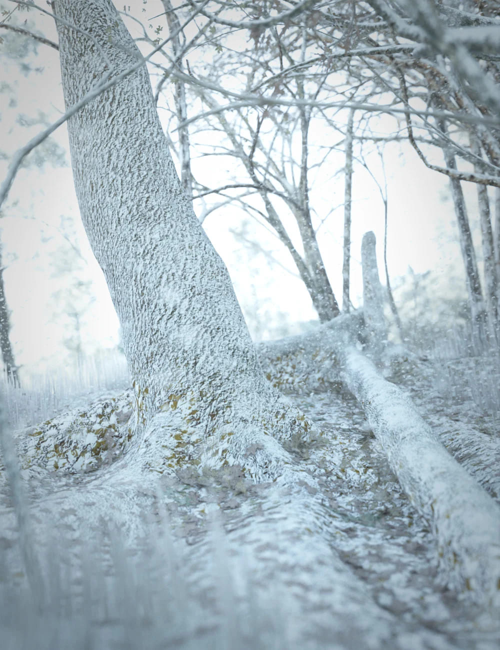 Fall Woods Vignette Winter Add-On_DAZ3D下载站