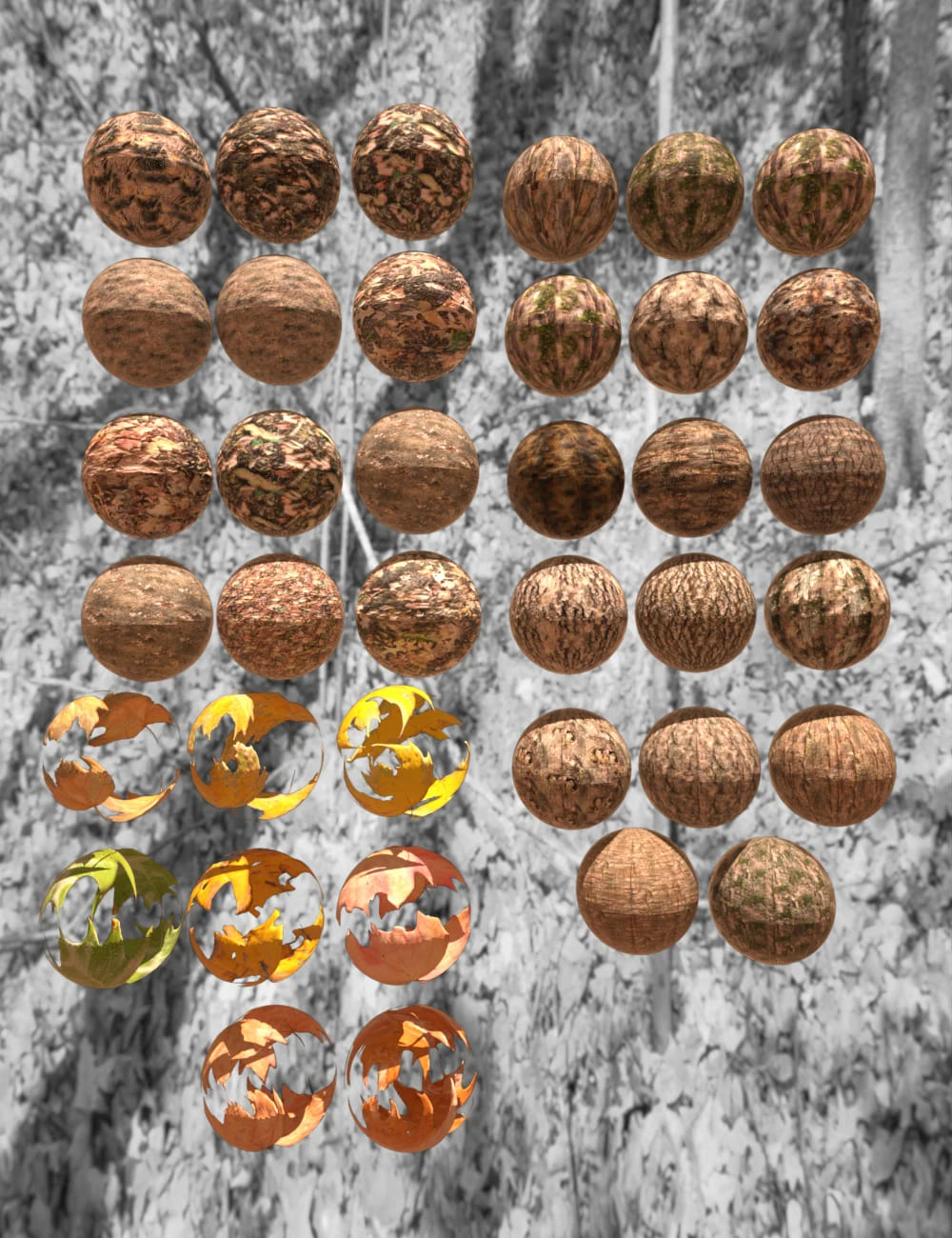 Fall Wood Textures Resources_DAZ3DDL
