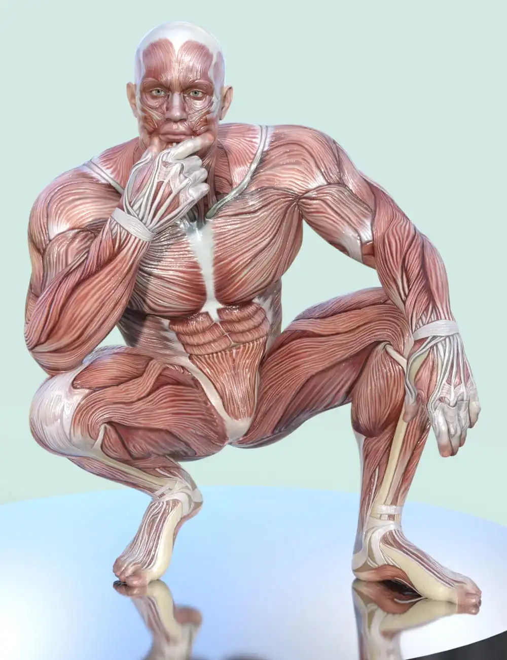 Masculine Muscle Maps for Genesis 9_DAZ3DDL