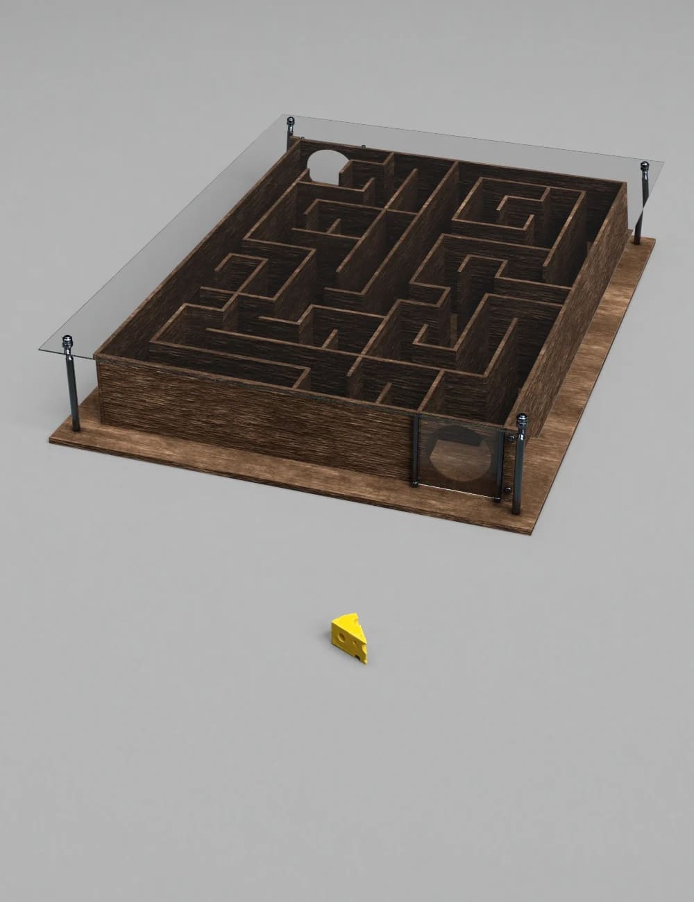 Small Lab Maze for Mouse_DAZ3D下载站