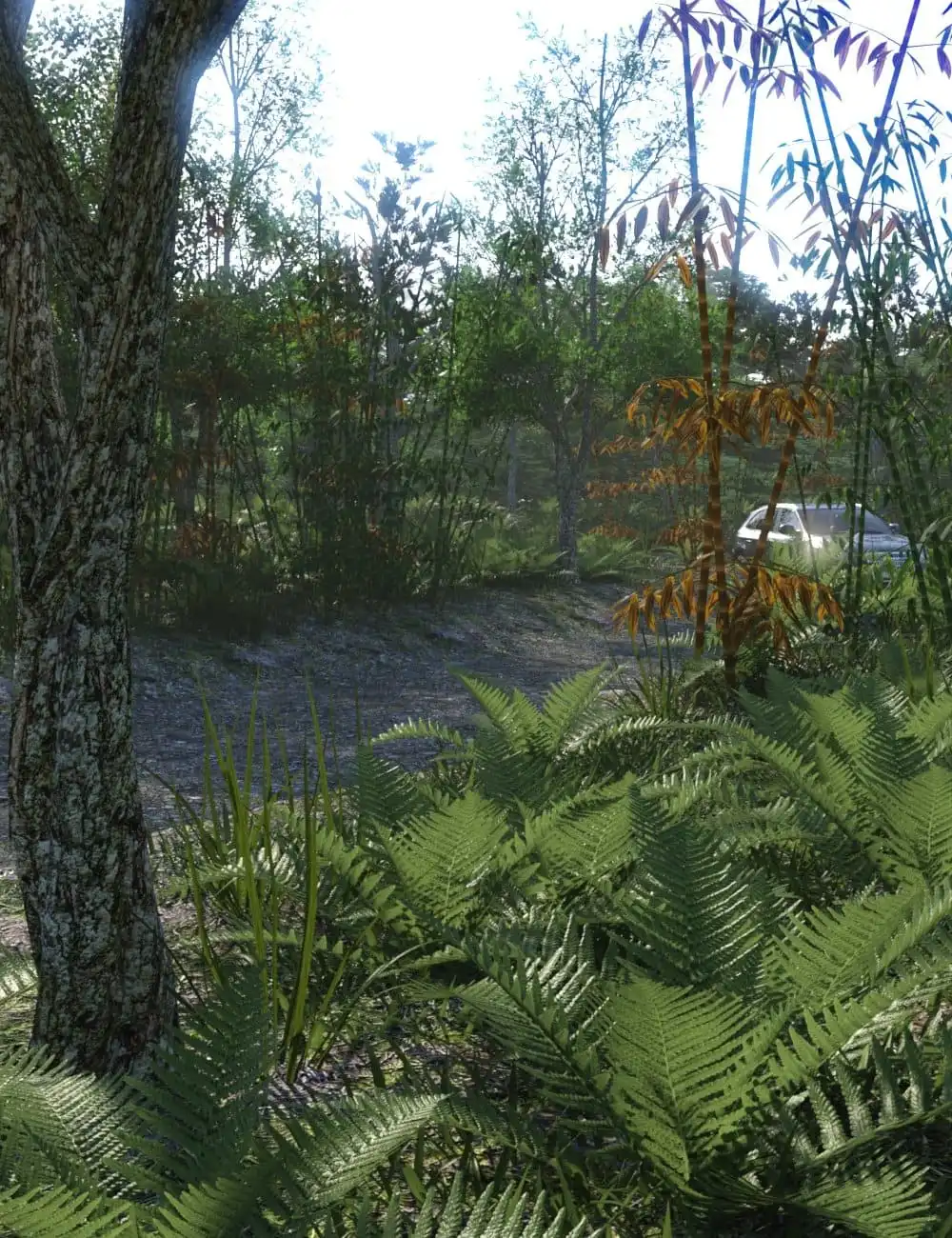 The Dirt Road_DAZ3DDL