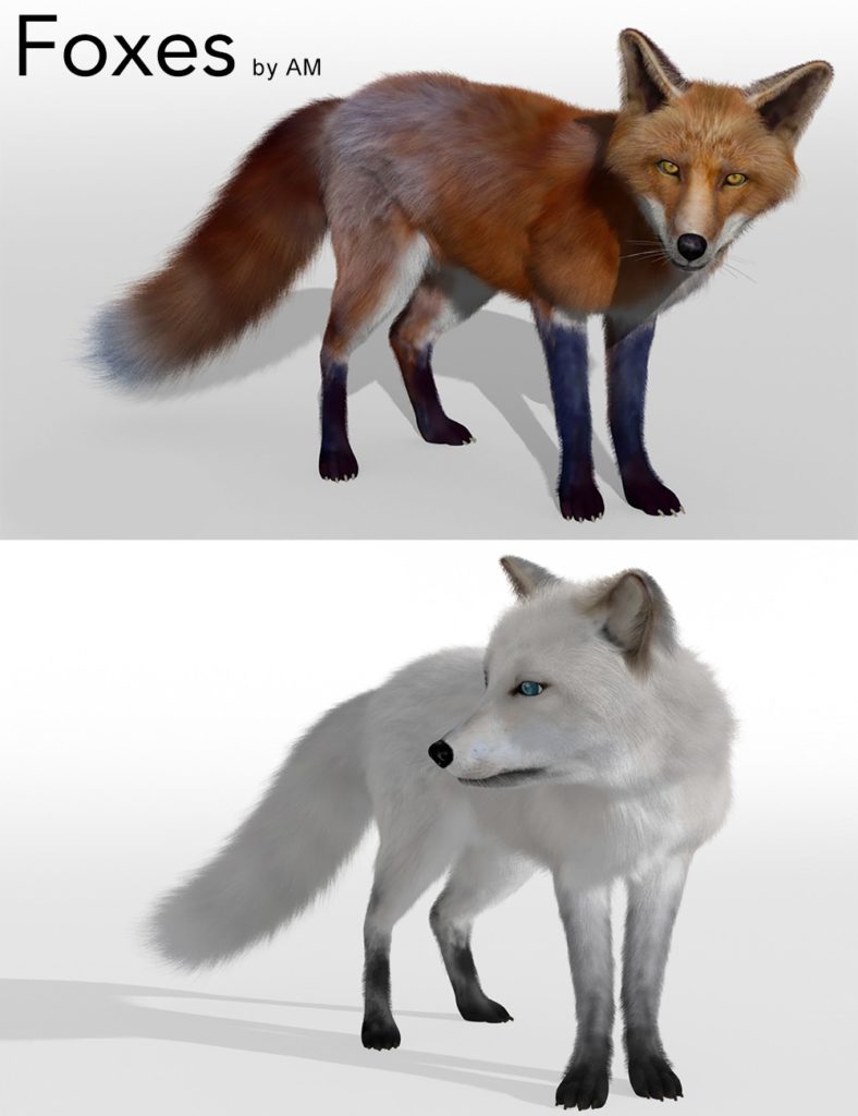 Foxes by AM_DAZ3D下载站