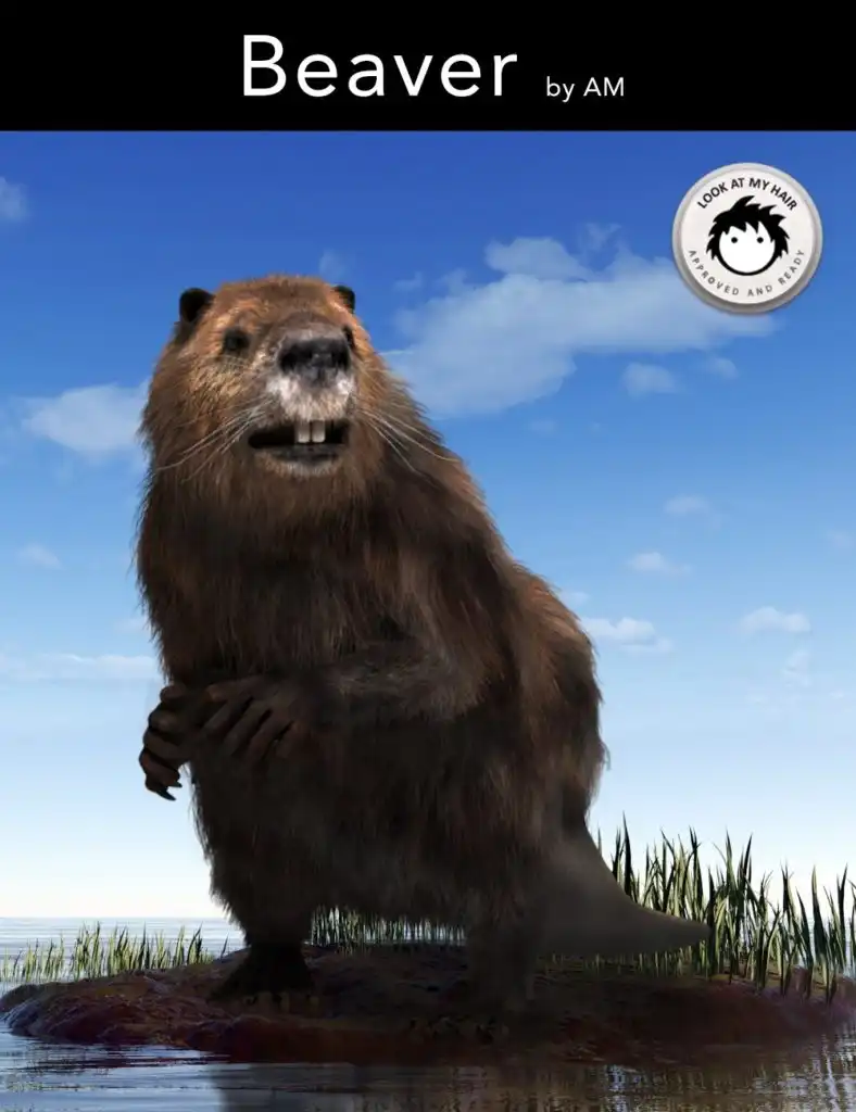 Beaver by AM_DAZ3DDL