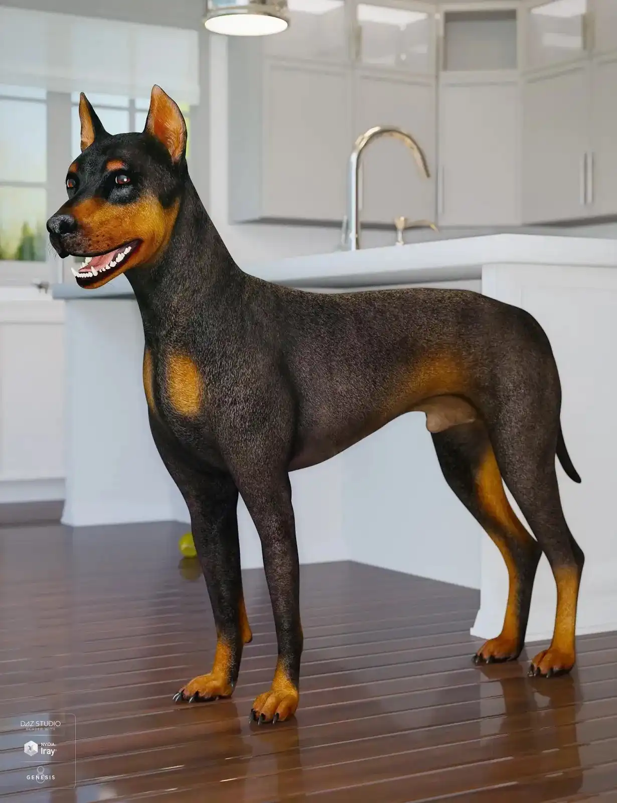 Daz Dog 8_DAZ3D下载站