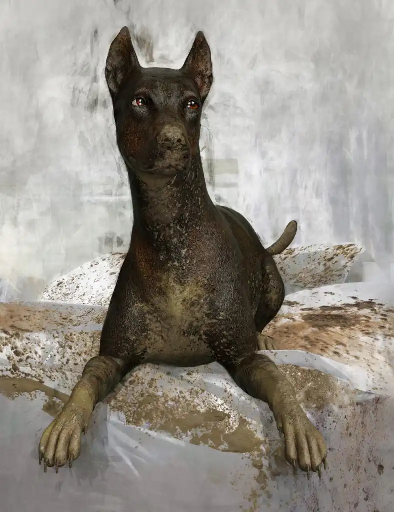 Dirty Dog for Daz Dog 8_DAZ3D下载站