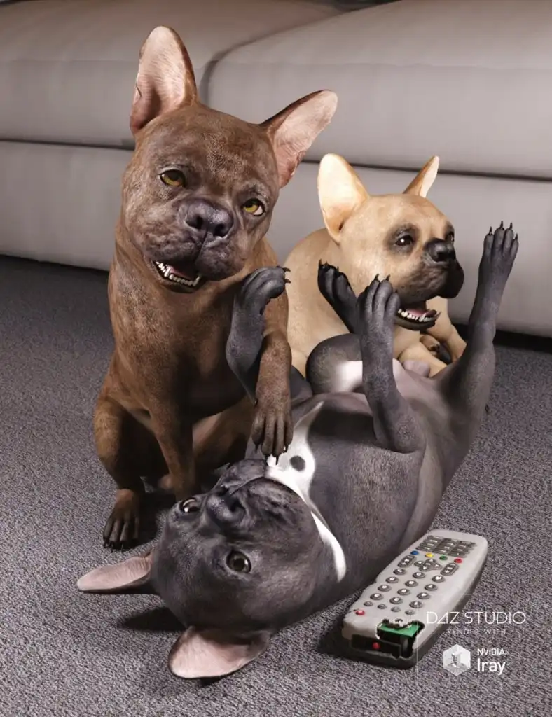 French Bulldog for Daz Dog 8_DAZ3D下载站