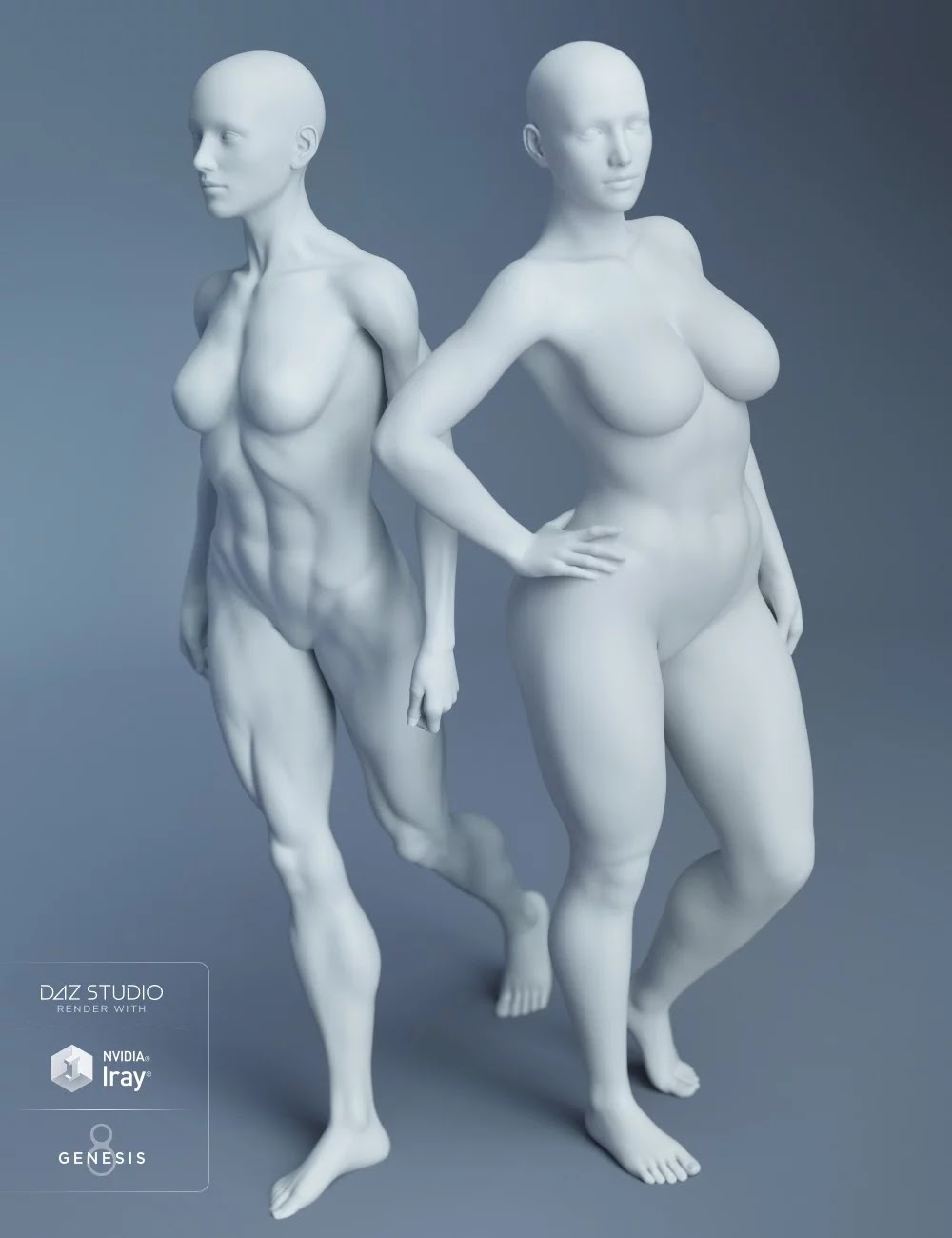 Genesis 8 Female Body Morphs_DAZ3D下载站