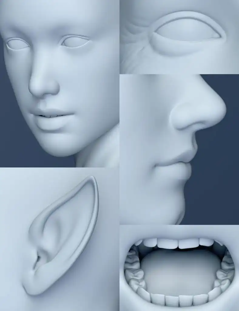 Genesis 8 Female Head Morphs_DAZ3DDL