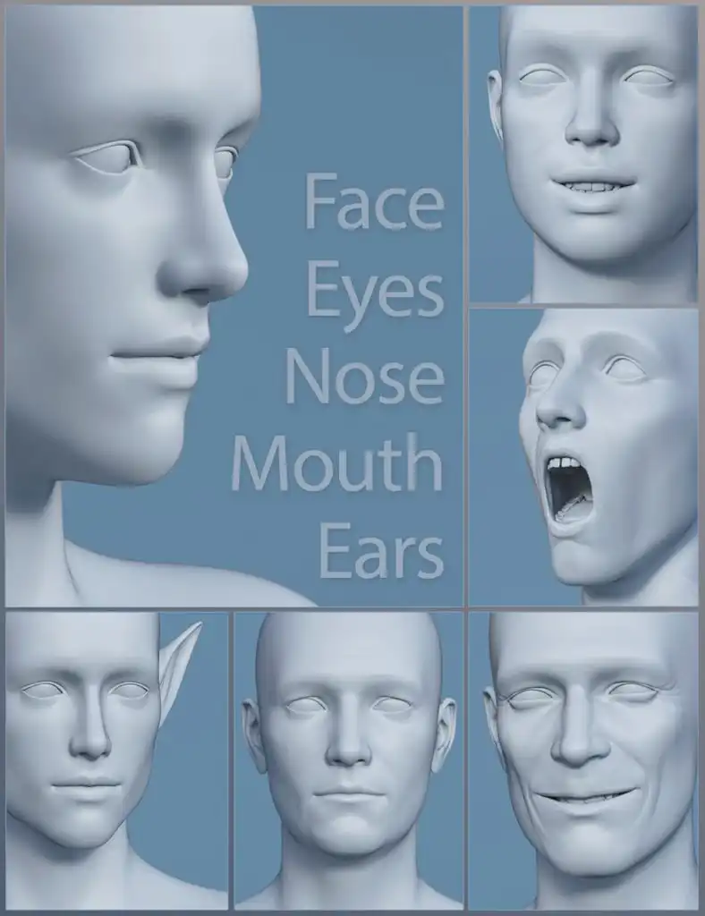 Genesis 8 Male Head Morphs_DAZ3DDL