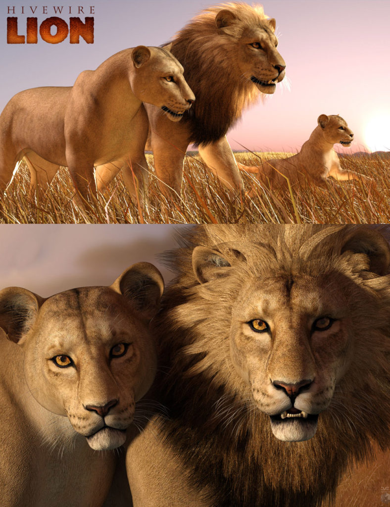 HiveWire Lion Family_DAZ3D下载站