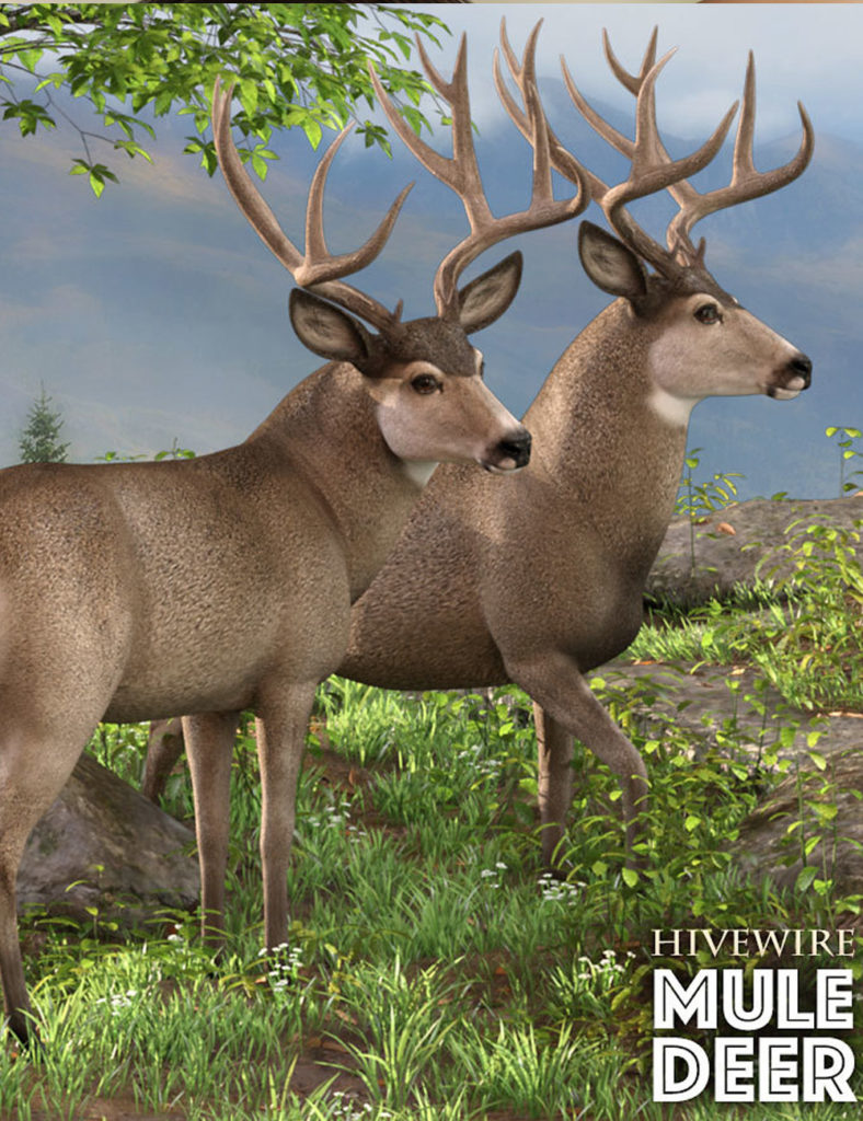 HiveWire Mule Deer Buck_DAZ3D下载站