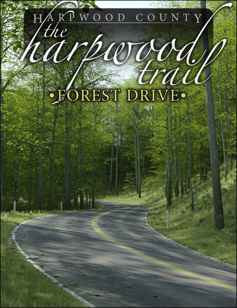 The Harpwood Trail – Forest Drive_DAZ3DDL